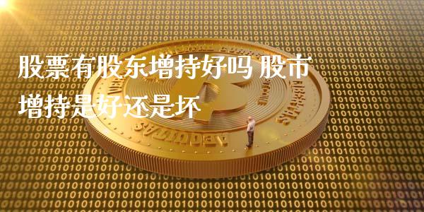 股票有股东增持好吗 股市增持是好还是坏_https://www.londai.com_股票投资_第1张