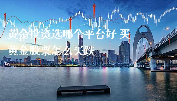 黄金投资选哪个平台好 买黄金股票怎么买跌_https://www.londai.com_股票投资_第1张