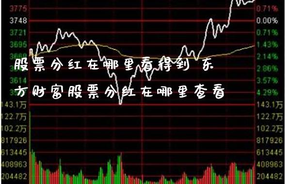 股票分红在哪里看得到 东方财富股票分红在哪里查看_https://www.londai.com_股票投资_第1张