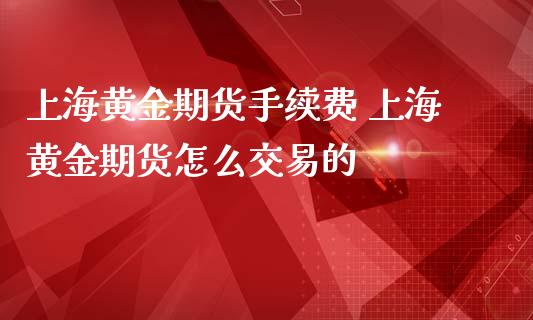 上海黄金期货手续费 上海黄金期货怎么交易的_https://www.londai.com_期货投资_第1张