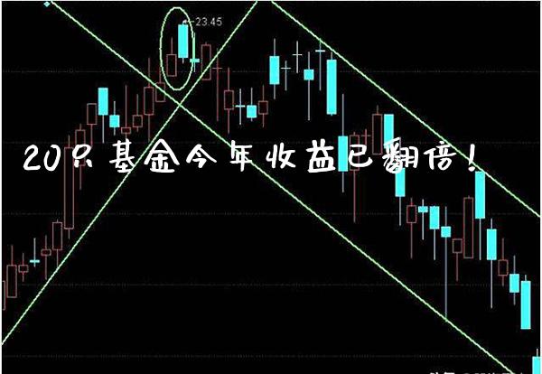 20只基金今年收益已翻倍！_https://www.londai.com_基金理财_第1张