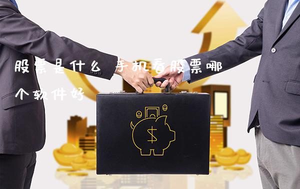 股票是什么 手机看股票哪个软件好_https://www.londai.com_股票投资_第1张