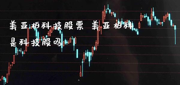 美亚柏科技股票 美亚柏科是科技股吗_https://www.londai.com_股票投资_第1张