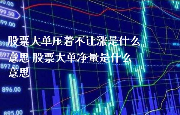 股票大单压着不让涨是什么意思 股票大单净量是什么意思_https://www.londai.com_股票投资_第1张