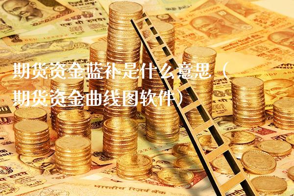 期货资金蓝补是什么意思（期货资金曲线图软件）_https://www.londai.com_期货投资_第1张