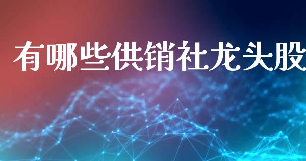 有哪些供销社龙头股_https://www.londai.com_股票投资_第1张