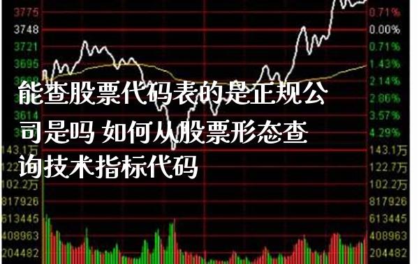 能查股票代码表的是正规公司是吗 如何从股票形态查询技术指标代码_https://www.londai.com_股票投资_第1张