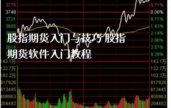 股指期货入门与技巧 股指期货软件入门教程_https://www.londai.com_期货投资_第1张