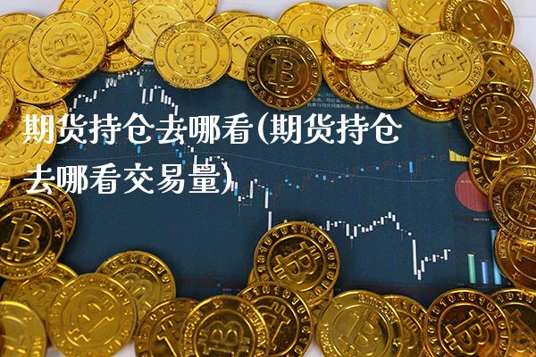 期货持仓去哪看(期货持仓去哪看交易量)_https://www.londai.com_期货投资_第1张