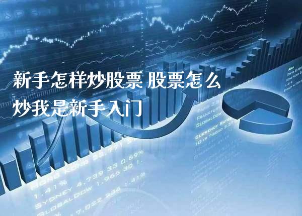 新手怎样炒股票 股票怎么炒我是新手入门_https://www.londai.com_股票投资_第1张