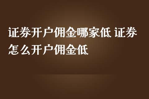 证券开户佣金哪家低 证券怎么开户佣金低_https://www.londai.com_股票投资_第1张