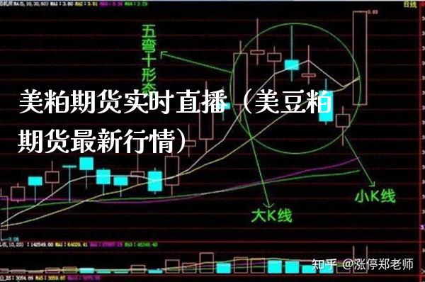 美粕期货实时直播（美豆粕期货最新行情）_https://www.londai.com_期货投资_第1张