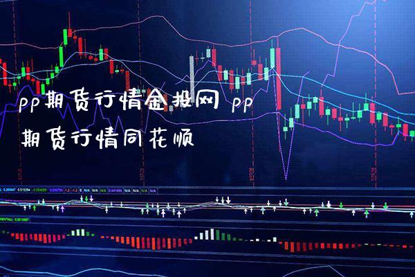 pp期货行情金投网 pp期货行情同花顺_https://www.londai.com_期货投资_第1张