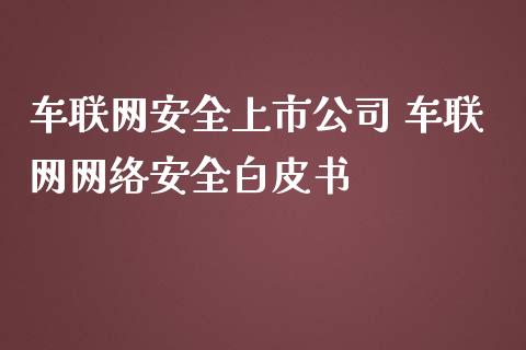 车联网安全上市公司 车联网网络安全_https://www.londai.com_股票投资_第1张