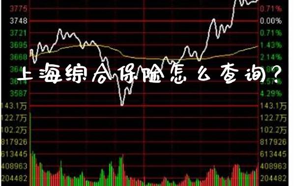 上海综合保险怎么查询？_https://www.londai.com_保险理财_第1张