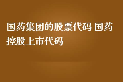 国药集团的股票代码 国药控股上市代码_https://www.londai.com_股票投资_第1张