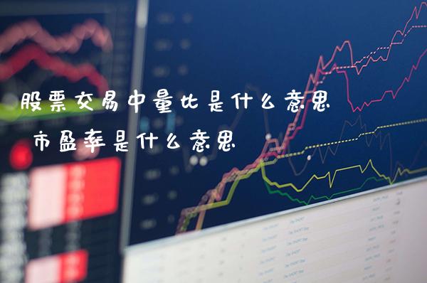 股票交易中量比是什么意思 市盈率是什么意思_https://www.londai.com_股票投资_第1张