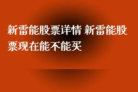 新雷能股票详情 新雷能股票现在能不能买_https://www.londai.com_股票投资_第1张