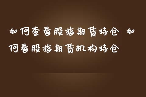 如何查看股指期货持仓 如何看股指期货机构持仓_https://www.londai.com_期货投资_第1张