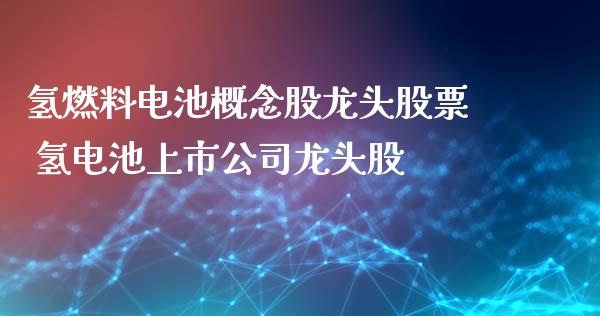 氢燃料电池概念股龙头股票 氢电池上市公司龙头股_https://www.londai.com_股票投资_第1张