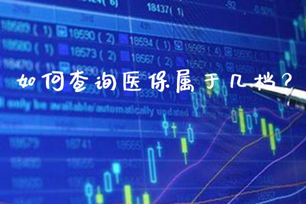 如何查询医保属于几档？_https://www.londai.com_保险理财_第1张