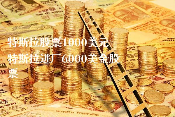 特斯拉股票1000美元 特斯拉进厂6000美金股票_https://www.londai.com_股票投资_第1张