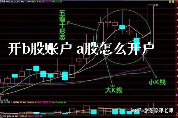 开b股账户 a股怎么开户_https://www.londai.com_股票投资_第1张