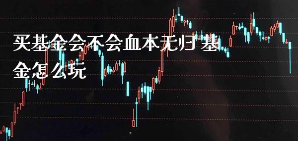 买基金会不会血本无归 基金怎么玩_https://www.londai.com_基金理财_第1张