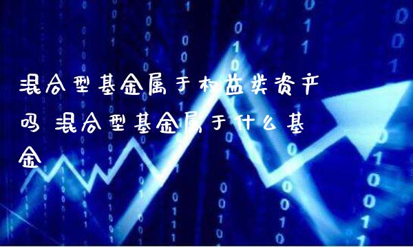 混合型基金属于权益类资产吗 混合型基金属于什么基金_https://www.londai.com_基金理财_第1张