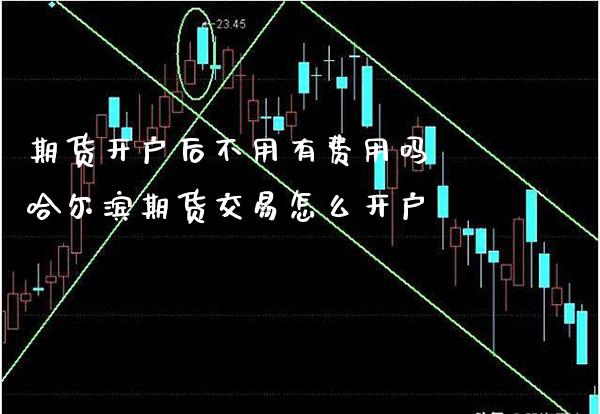 期货开户后不用有费用吗 哈尔滨期货交易怎么开户_https://www.londai.com_期货投资_第1张