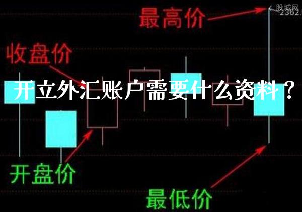 开立外汇账户需要什么资料？_https://www.londai.com_其他投资_第1张