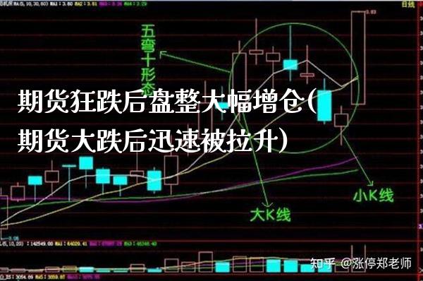 期货狂跌后盘整大幅增仓(期货大跌后迅速被拉升)_https://www.londai.com_保险理财_第1张