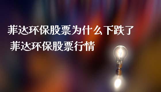 菲达环保股票为什么下跌了 菲达环保股票行情_https://www.londai.com_股票投资_第1张