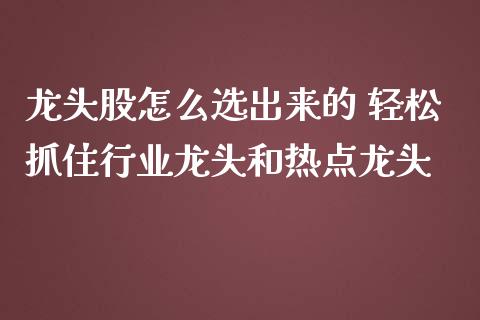 龙头股怎么选出来的 轻松抓住行业龙头和热点龙头_https://www.londai.com_股票投资_第1张