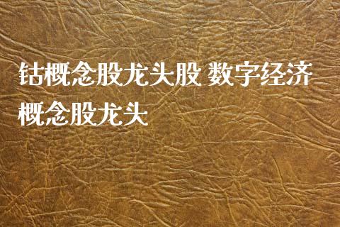 钴概念股龙头股 数字经济概念股龙头_https://www.londai.com_股票投资_第1张