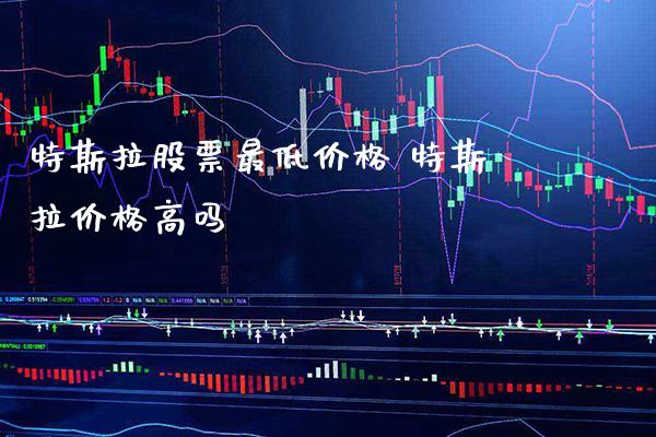 特斯拉股票最低价格 特斯拉价格高吗_https://www.londai.com_股票投资_第1张