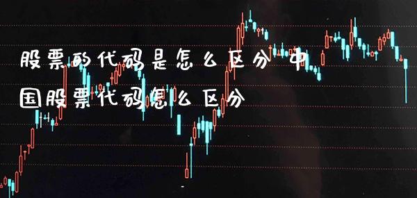 股票的代码是怎么区分 中国股票代码怎么区分_https://www.londai.com_股票投资_第1张