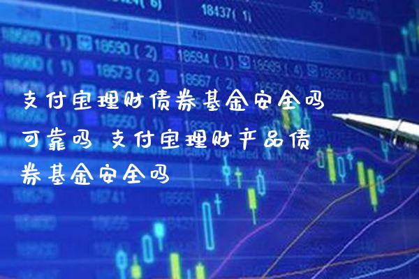 支付宝理财债券基金安全吗可靠吗 支付宝理财产品债券基金安全吗_https://www.londai.com_基金理财_第1张