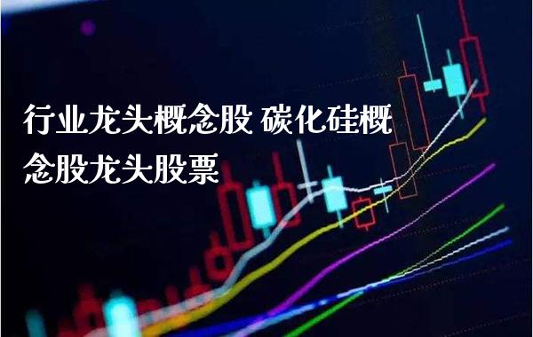 行业龙头概念股 碳化硅概念股龙头股票_https://www.londai.com_股票投资_第1张