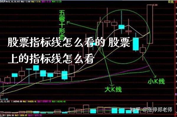 股票指标线怎么看的 股票上的指标线怎么看_https://www.londai.com_股票投资_第1张