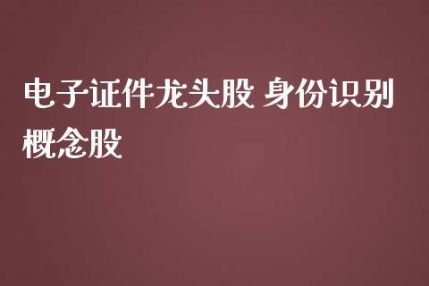 电子证件龙头股 身份识别概念股_https://www.londai.com_股票投资_第1张