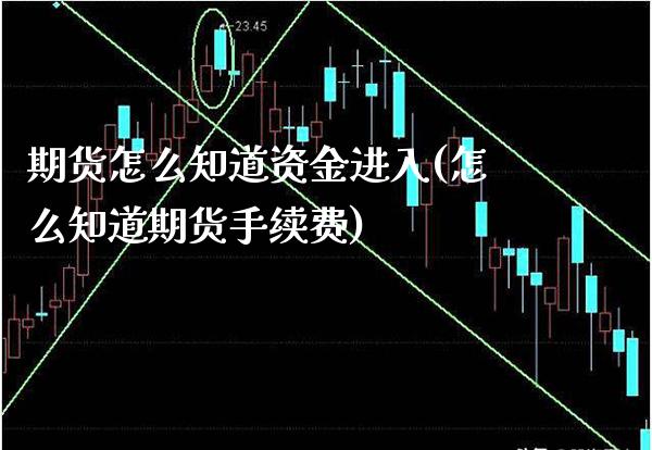 期货怎么知道资金进入(怎么知道期货手续费)_https://www.londai.com_期货投资_第1张