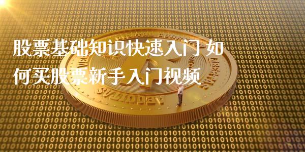 股票基础知识快速入门 如何买股票新手入门视频_https://www.londai.com_股票投资_第1张