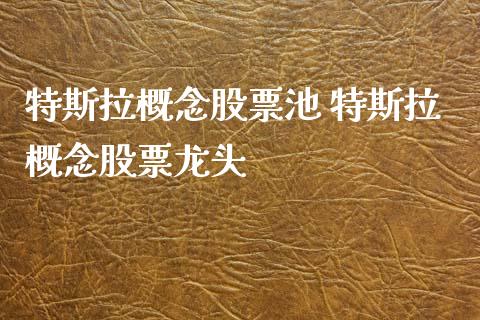 特斯拉概念股票池 特斯拉概念股票龙头_https://www.londai.com_股票投资_第1张