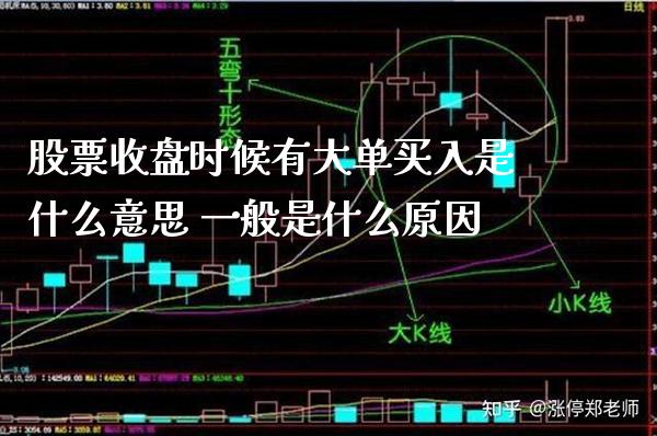 股票收盘时候有大单买入是什么意思 一般是什么原因_https://www.londai.com_股票投资_第1张