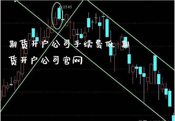 期货开户公司手续费低 期货开户公司_https://www.londai.com_期货投资_第1张