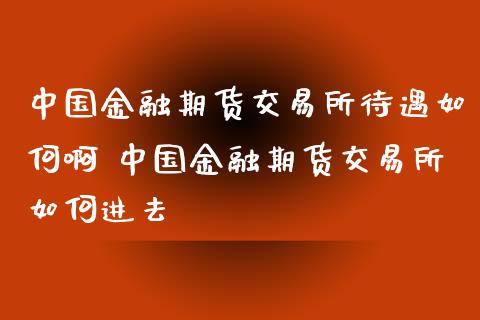 中国金融期货交易所待遇如何啊 中国金融期货交易所如何进去_https://www.londai.com_期货投资_第1张