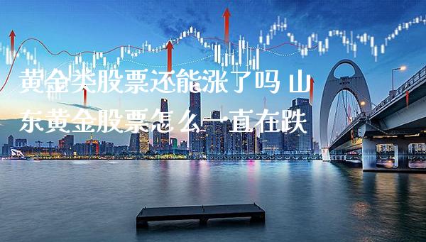 黄金类股票还能涨了吗 山东黄金股票怎么一直在跌_https://www.londai.com_股票投资_第1张