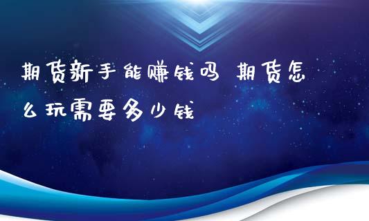 期货新手能赚钱吗 期货怎么玩需要多少钱_https://www.londai.com_期货投资_第1张