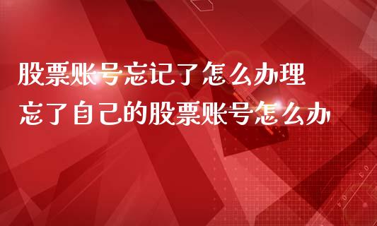 股票账号忘记了怎么办理 忘了自己的股票账号怎么办_https://www.londai.com_股票投资_第1张